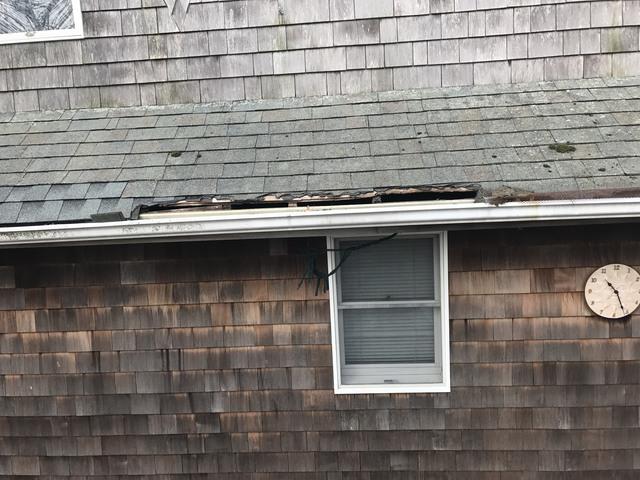Cowleys Pest Services Wildlife Removal Photo Album Active Squirrel Infestation In Middlesex Nj Home