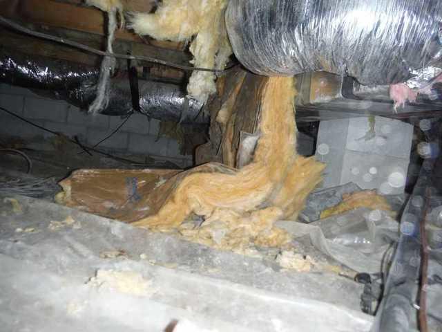 Damp Crawlspace in Seaford Delaware