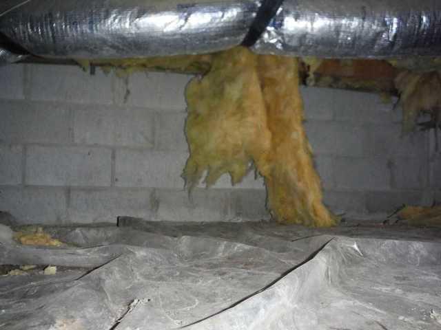 Damp Crawlspace in Seaford Delaware