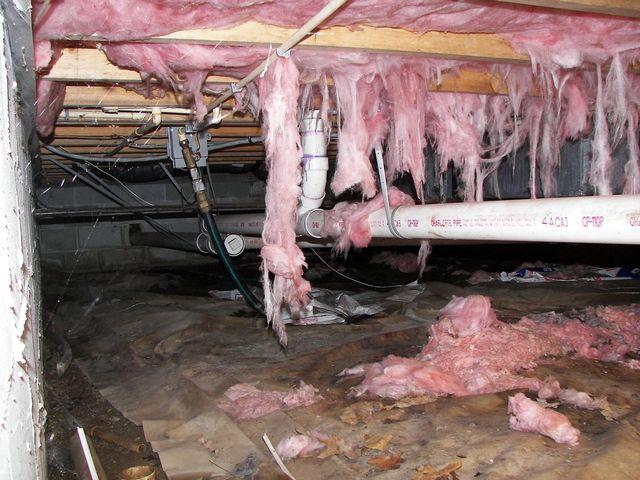 <p>Over time, crawlspace insulation will begin to fall from the underside of the floor in a vented crawlspace. Our unique encapsulation service protects your insulation and helps keep your floors warmer. The encapsulation process will remove the need for batted insulation in your crawlspace. Contact Dr. Energy Saver today to schedule your free inspection and estimate!</p>