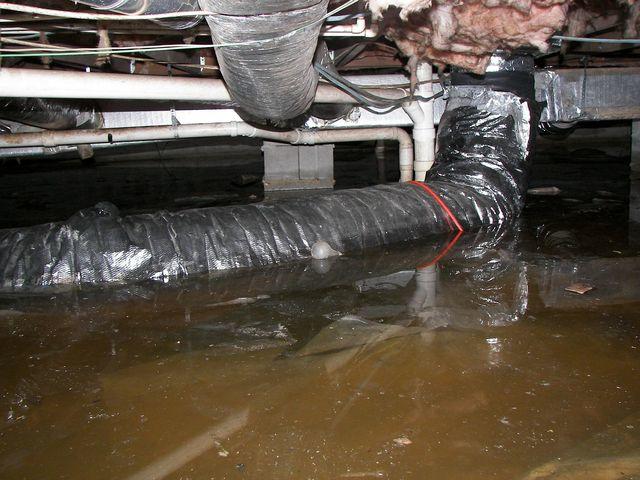 During the rainy season, crawlspaces are known to flood on the Delmarva Peninsula. Even when there's no sign of flooding, sump pumps should always be installed to prevent future problems. 