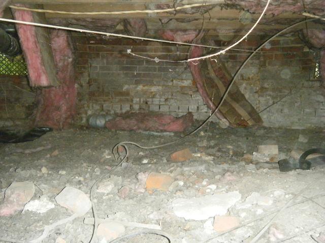 Moldy Crawlspace Remediation Overview