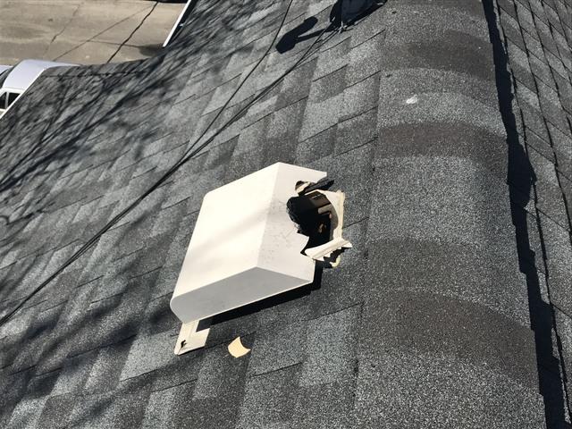 Cowleys Pest Services Wildlife Removal Photo Album Raccoons Find Easy Entry Into Keyport Attic