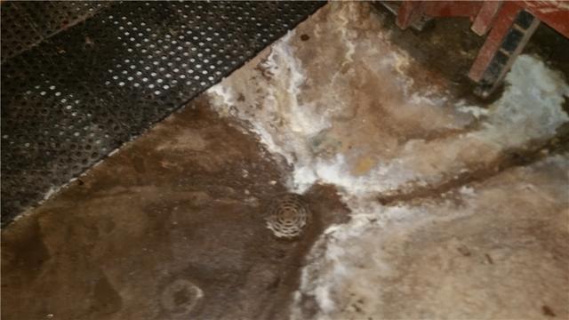 Drains like this one can be helpful, but the water can still cause plenty of damage before it reaches the drain and if the drain becomes clogged or overwhelmed it can be especially devastating to the basement.