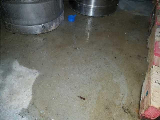 Standing Water in Lansing Basement