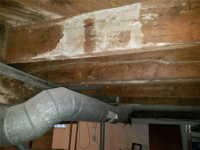 Closeup of Water Damaged Beams in Wet Basement