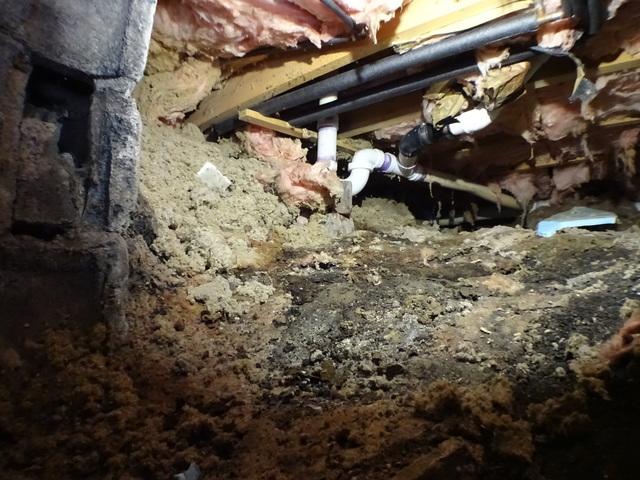 Crawl Space Not Properly Insulated