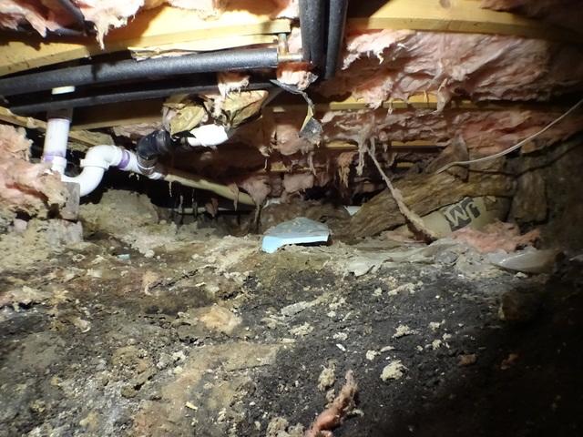 Crawl Space Not Properly Insulated