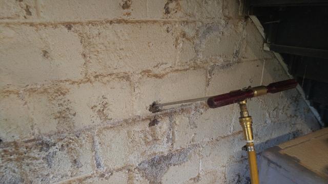 Cowleys Pest Services - Pests We Treat Photo Album - Termites in ...