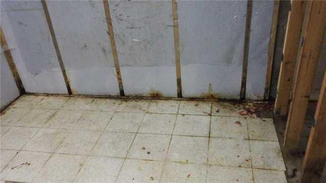 Effects of Water Damage on Flooring