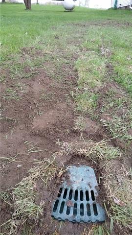 LawnScape Outlet Blends Into Lawn