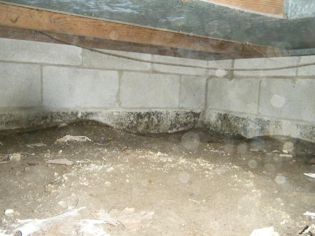 Removing Insulation from Crawlspace in Evansville, IN