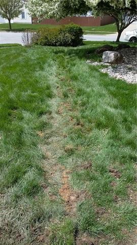 Once the pipe is glued together and in place, the hold is back filled and the portions of grass that were removed are set back in place. In just a couple weeks, you won't even know that we had done any work in the yard.