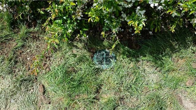 The LawnScape outlet on the end of the discharge line blends in well with the lawn and is barely seen. It's also easy to mow around.