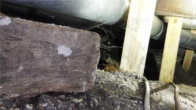 Old and New Wood in Wet Basement