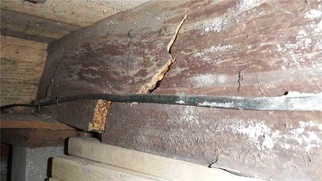 Cracked Floor Joist in Wet Crawl Space