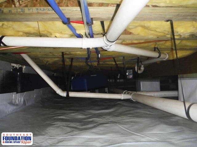 Mold grows on dead organic material like wood, but by lowering the humidity levels to less then 50% humidity we are able to say good bye to mold.