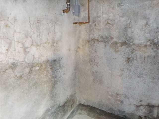 Peeling Paint on Waterlogged Basement Walls