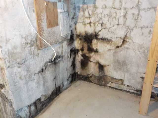 Mold on Leaking Wall