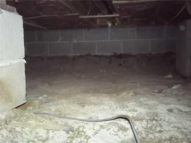 Exposed Dirt Floor & Porous Concrete Walls