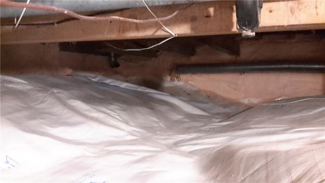 Our crew installed a Clean Space liner vapour barrier system; which totally encapsulates the crawl space. Our crew also applied moisture-resistant spray foam insulation to help make the home more energy efficient.