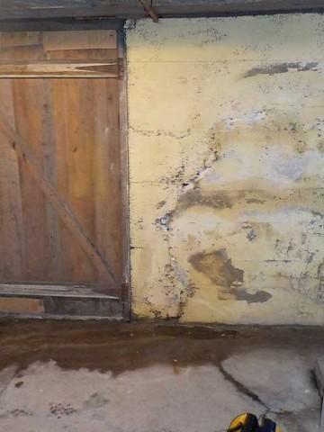 Signs of Water Damage in Wet Basement