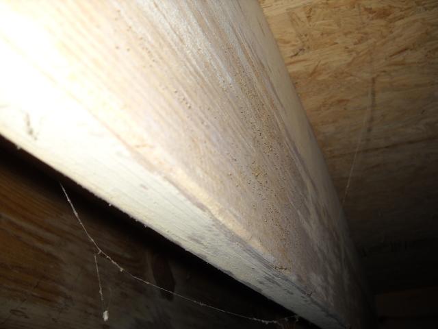 The unconditioned crawl space allows for mold growth on floor joist.