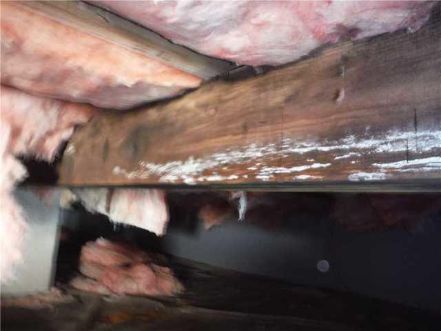 Mold In The Crawl Space