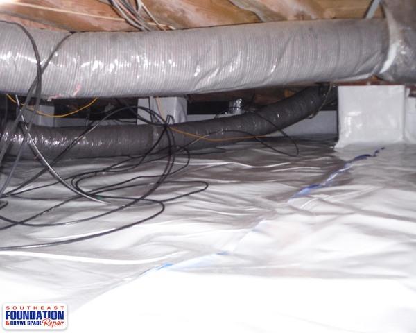 Getting Rid of Mold and Odors