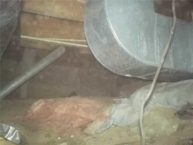 Fallen Insulation in Damp Crawl Space