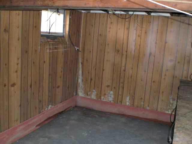 Basement Wall Restoration in Red Wing, MN