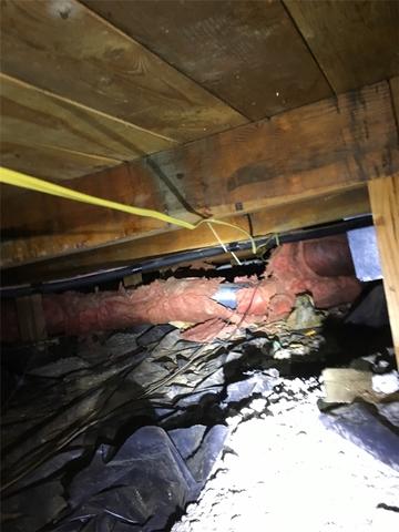 photo from initial inspection