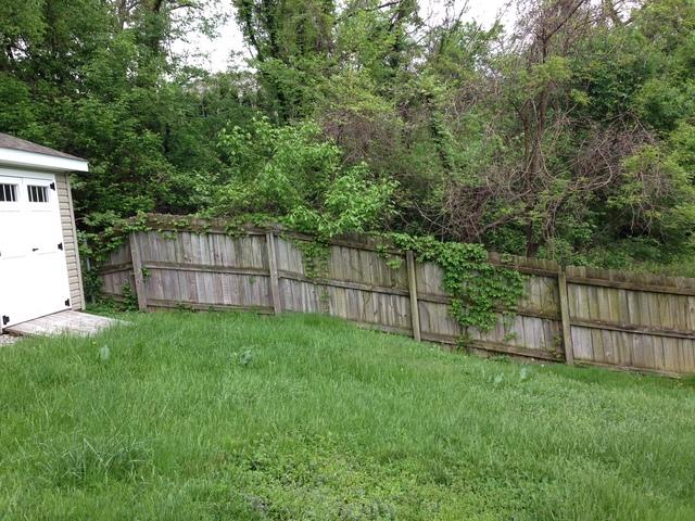 Replacing an Old Privacy Fence