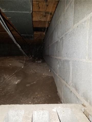 Despite its small size, this crawl space was musty and problematic.