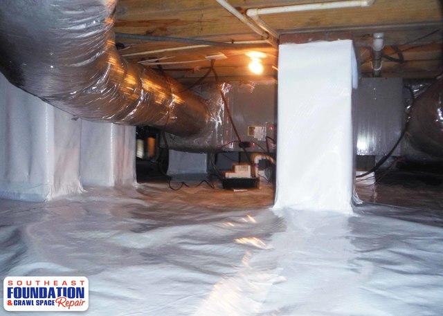 Bye Bye Mold and Mildew