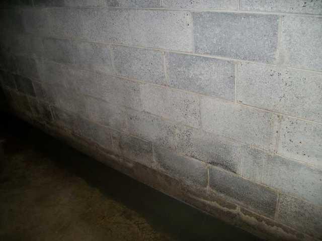 Installed WaterGuard in Basement