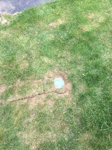 LawnScape
