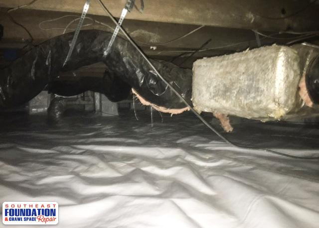 Getting Rid of Mold and Mildew