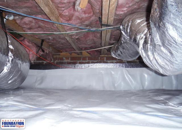 Mold and Mildew