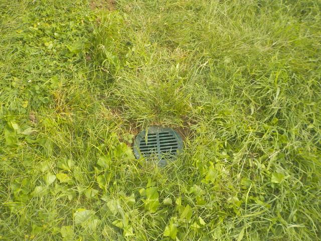 Small but important details