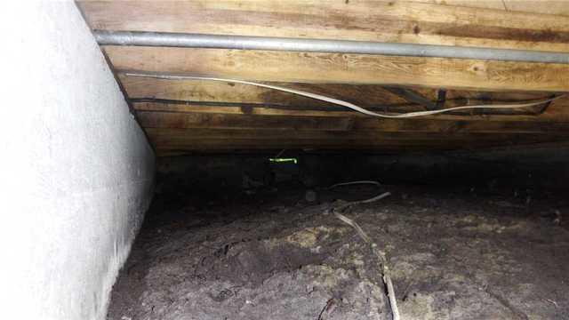 Moldy Crawl Space