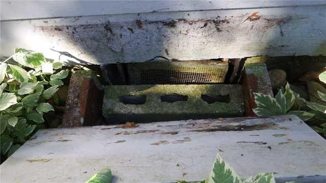 DIY Crawl Space Protection