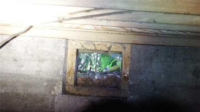 Weed Viewing Portal in Crawl Space