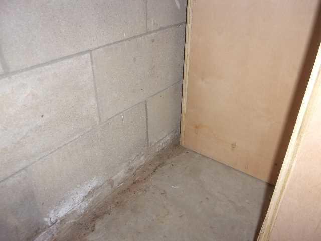 Cove Joint Appears To Be An Access Point