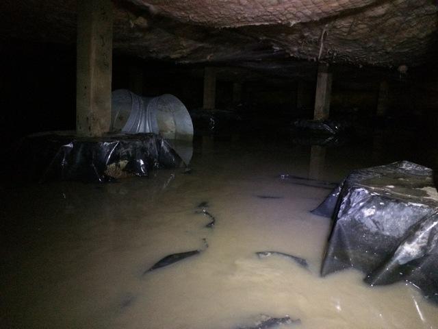 Flooded Crawl Space