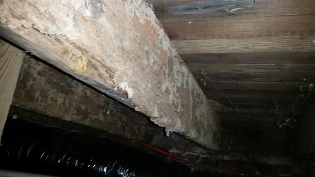 This Joist needs to be replaced