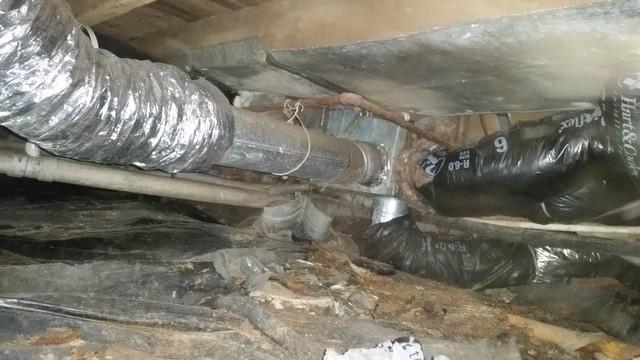 Overview of nasty Bicknell, IN Crawlspace