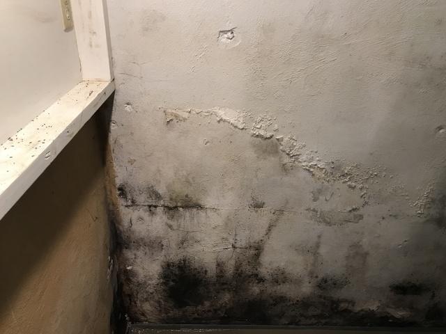 Triple Safe Sump Pump in Wolcott, CT