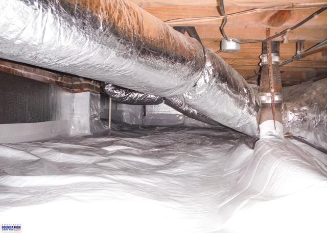 Signs of Excessive Moisture in the Crawl Space