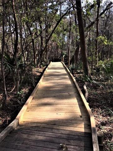 A Pathway into the Marshes.